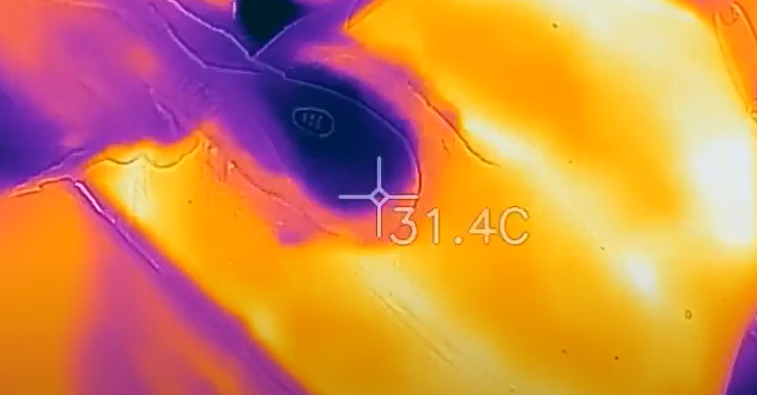 Thermal imaging with Thuzzle - Deep Lipolysis & Localised Fat Reduction